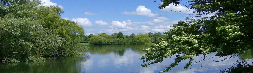 Overlooking the lake